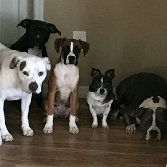 Meet your Posher, Jess - Picture 1 of 1